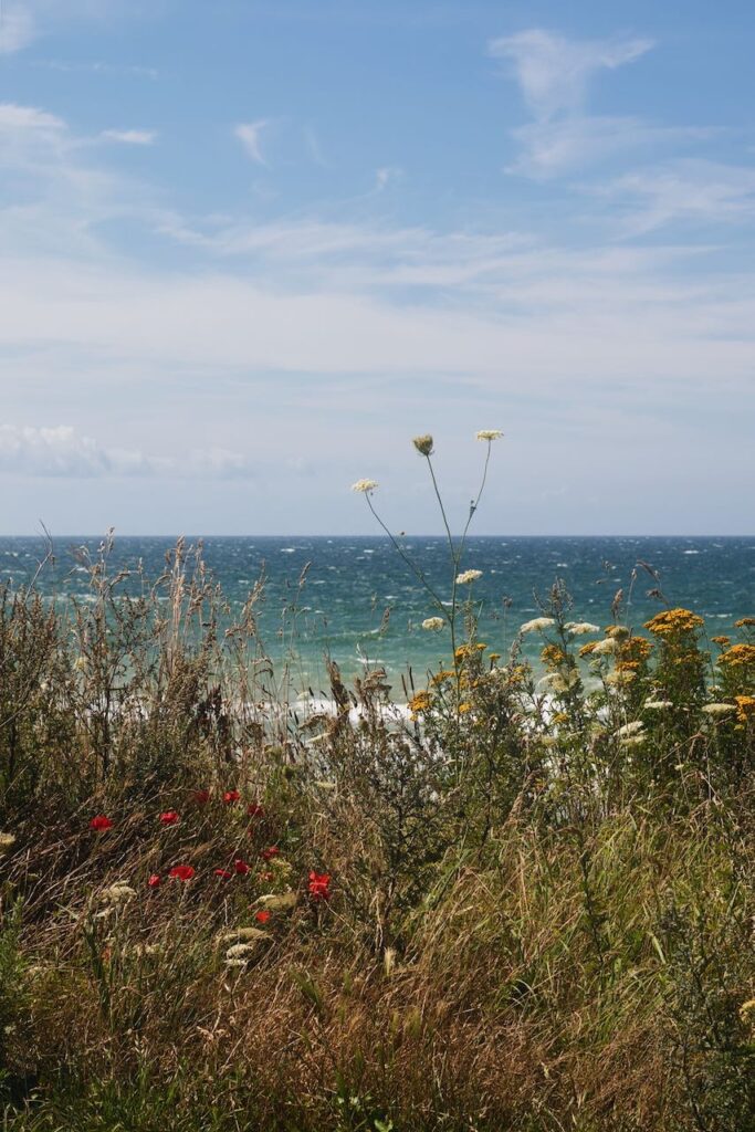 Ahrenshoop steep coast